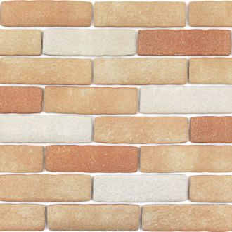 カルセラB-1 カルセラカラーチャート