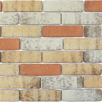 カルセラB-2 カルセラカラーチャート