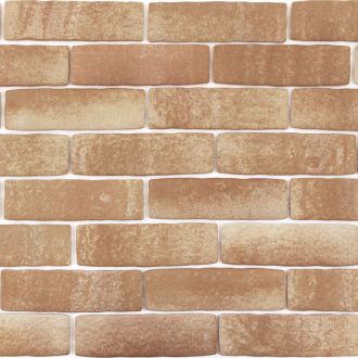 カルセラB-5 カルセラカラーチャート