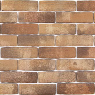 カルセラB-6 カルセラカラーチャート