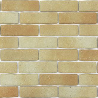 カルセラB-16 カルセラB-16